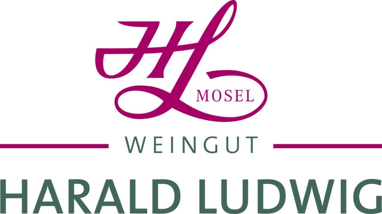 Weingut Harald Ludwig Apartment Osann-Monzel Exterior photo